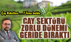 Rize'deki Yaş Çay Üretimi, Dünya Çay Rekoltesinde Beşinci Sırada!