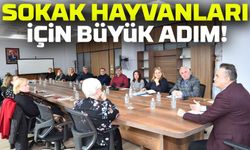 Ortahisar’da Sokak Hayvanları İçin Büyük Adım: Mama Üretim Merkezi Geliyor!