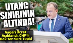 Asgari Ücret Açıklandı, CHP'li Bak'tan Sert Tepki: "Utanç Sınırının Altında Kaldı!"