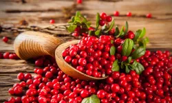 Cranberry'nin Sağlık Sırları: Turna Yemişi Faydaları Nelerdir?