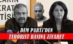 DEM Parti'nin İmralı Ziyareti Gündemi Sarstı: Ne Konuşup ne Anlaştılar?