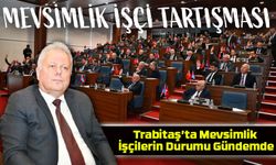 "TRABİTAŞ’ta Mevsimlik İşçi Tartışması: Kamu Zararına Yol Açıyor mu?"