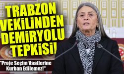 Trabzon-Erzincan Demiryolu İçin Mecliste Çarpıcı Çıkış: "Proje Seçim Vaatlerine Kurban Edilemez!"