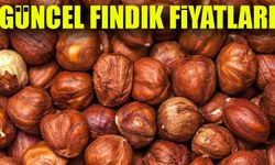 Fındık Fiyatlarında Şok Düşüş! Üreticiler ve Tüccarlar Ne Yapacak?