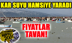 Kar Suyu Hamsiye Yaradı, Fırtına Fiyatları Yükseltti