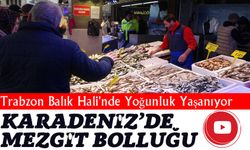 Karadeniz’de Mezgit Bolluğu Yaşanıyor