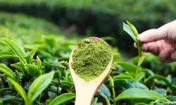 Matcha Çayı: Enerji Veren ve Metabolizmayı Hızlandıran Doğal Mucize