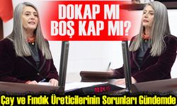 TBMM’de DOKAP Tartışması: "Boş Kap Değil, Hizmet Alanı"