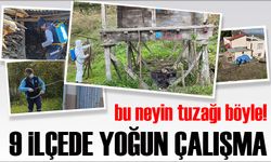 Büyükşehir Kokarcayla Mücadelede 17 Bin Noktayı İlaçladı