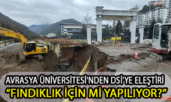 Avrasya Üniversitesi'nden DSİ'ye Köprü Tepkisi: ‘Fındıklık İçin Mi Yapılıyor?’