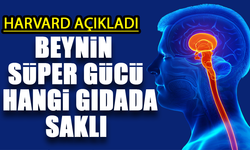 Harvard’dan Çarpıcı Araştırma: Beynin Süper Gücü Bakın Nerede Saklı?