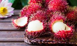 Rambutan: Tropiklerin Tatlı ve Egzotik Meyvesi