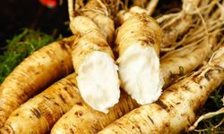 Ginseng Mucizesi! Enerji ve Bağışıklık İçin Doğanın Gücü