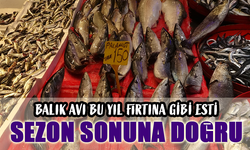 Sezonun Sonlarına Doğru: Balık Avı Bu Yıl Fırtına Gibi Geçti