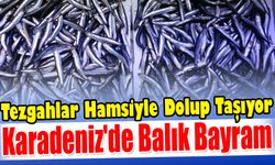 Tezgahlar Hamsiyle Dolup Taşıyor: Karadeniz'de Balık Bayram