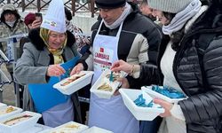 Ordu’da Bin 301 Çeşit Dondurma İle Guinness Rekoru Kırıldı