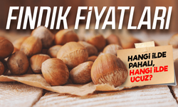 Fındık Fiyatları Şaşırtıyor: Hangi İlde Pahalı, Hangi İlde Ucuz?