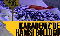 Karadeniz'de Hamsi Bolluğu: Tezgahlarda 15 Santimetrelik Hamsi 100 TL