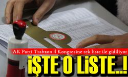 AK Parti Trabzon İl Kongresine tek liste ile gidiliyor