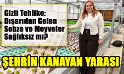 Trabzon'da Sebze ve Meyveyi Bekleyen Gizli Tehlike