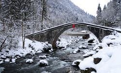 Fırtına Vadisindeki ruhsatsız turistik tesis ve oteller tek tek mühürleniyor