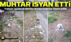 Trabzon-Giresun Sınırındaki Jandarma Şehitler Ormanı Kaderine Terk Edildi!