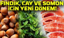 Karadeniz Ekonomisi İçin Yeni Adımlar! Fındık, Çay ve Somon İçin Stratejiler Belirlendi