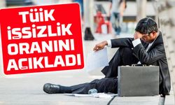 İşsizlik Oranı Geriledi! TÜİK Aralık 2024 Verilerini Açıkladı