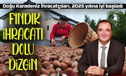 Fındık İhracatında Rekor Artış! 2025’e Güçlü Başlangıç