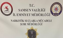 Elbise dolabında kenevir yetiştiren şüpheliye gözaltı