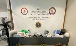 Samsun'da yabancı madde operasyonunda 3 gözaltı; özel odada kenevir yetiştirmiş