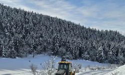 Artvin’de 68 köy yolu ulaşıma kapandı