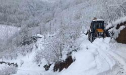 Ordu’da bir günde 4 bin 157 kilometre yol ulaşıma açıldı