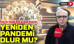 Yeni Virüs Endişesi: HKU5 İnsanlara Bulaşabilir mi? Prof. Dr. Tevfik Özlü Açıklık Getirdi!