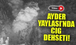 Ayder Yaylası’nda çığ! İşletme zarar gördü, o anlar kamerada