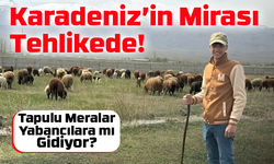 Karadeniz’in Mirası Tehlikede! Tapulu Meralar Yabancılara mı Gidiyor?