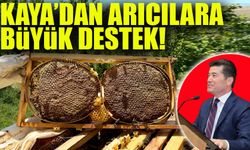 Başkan Kaya’dan Arıcılara Büyük Destek! Köy Pazarlarında Satış İmkanı Sağlanacak