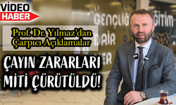 Prof. Dr. Yusuf Yılmaz’dan Ezber Bozan Makale: Siyah Çayın Sağlığa Faydaları