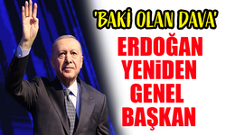 Cumhurbaşkanı Erdoğan, AK Parti Kongresi'nde Yeniden Genel Başkan Seçildi