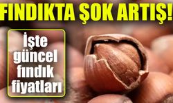 Fındık Fiyatları Uçtu! Güncel Liste ve Uzman Yorumları