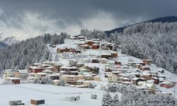 Giresun’da Kar Yağışı Nedeniyle 13 İlçede Eğitime Ara Verildi