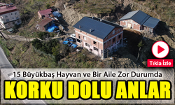 Korku Dolu Anlar: Bir Aile ve 15 Büyükbaş Hayvan Son Anda Kurtarıldı