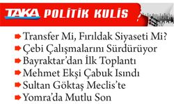 Transfer Mi, Fırıldak Siyaseti Mi?