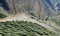 Rize'de Teleferikle Ulaşım Tarihe Karıştı, Yeni Yol Hizmete Girdi