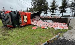 Evin bahçesine devrilen TIR’ın şoförü yaralandı