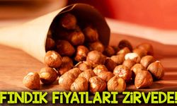 Fındık Fiyatları Zirve Yaptı! İşte Güncel Liste