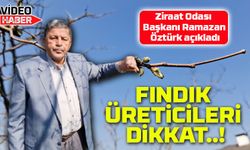 Fındık Üreticisine Kritik Uyarı: Don Tehlikesi Kapıda!