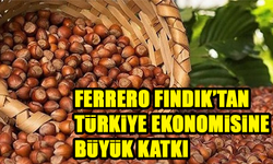 Ferrero Fındık’ın Ekonomik Etki Analizi: Türkiye’ye 1,4 Milyar Avro Katkı