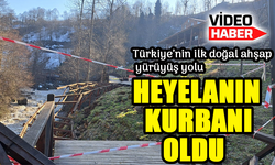 Türkiye’nin İlk Doğal Ahşap Yürüyüş Yolu Heyelanla Tahrip Oldu