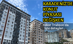 Doğu Karadeniz’de Konut Satışlarında Artış ve Azalışlar